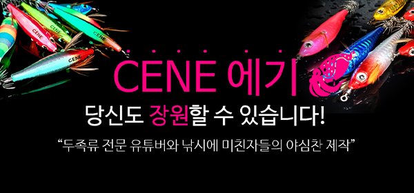 ���׿���